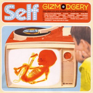 Image for 'Gizmodgery'