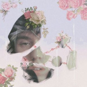 Image for 'ROSES'