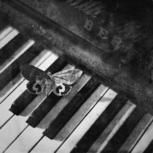 Image for 'Silent Hill Piano Versions'