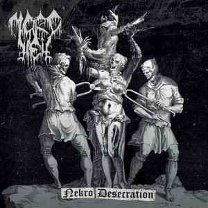 Image for 'Nekro Desecration'