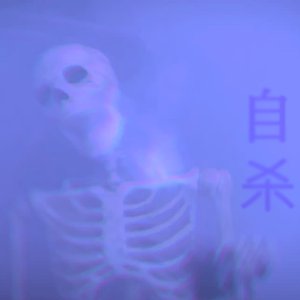 Image for '(hushwave) - 治愈它'