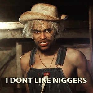 Image for 'I don't like niggers'