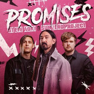 Bild für 'Promises'