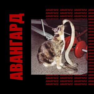 Image for 'авангард'