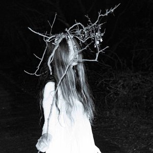 Immagine per 'Liar, Flower'