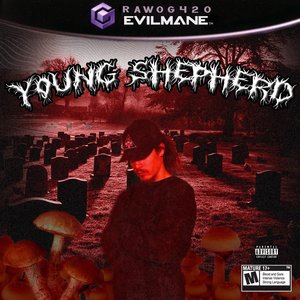 Image for 'Young Shepherd'