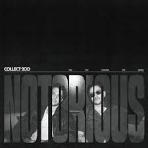Image for 'Notorious'
