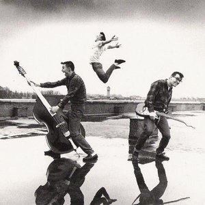 Immagine per 'The Long Tall Texans'