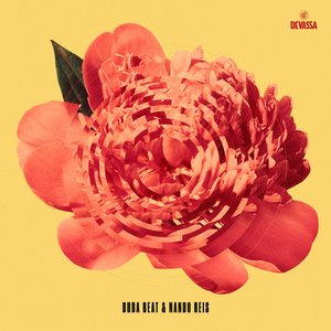 Immagine per 'DUDA BEAT & NANDO REIS'