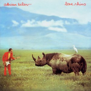 Bild für 'Lone Rhino'