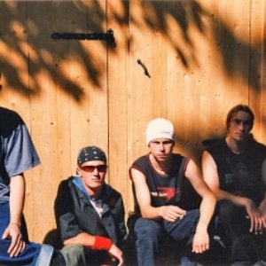 Image for 'Punkentsefaliit'