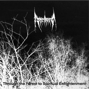 Image for 'Through The Forest To Spiritual Enlightenment'