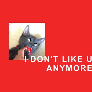 Imagen de 'I Don't Like U Anymore'