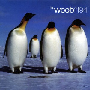 Image for 'Woob 1194'