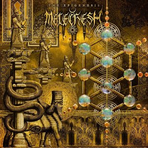 Image for 'The Epigenesis'