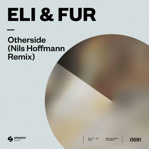 Imagen de 'Otherside (Nils Hoffmann Remix)'