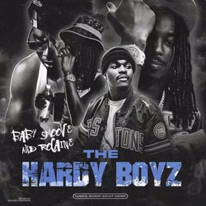 Bild für 'THE HARDY BOYZ'