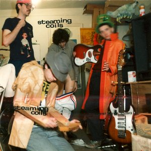 Image for 'Steaming Coils'