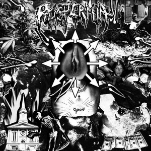 Image for 'Piospermia'