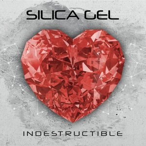 Image for 'INDESTRUCTIBLE'