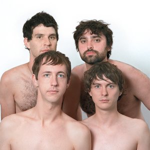 Image for 'Animal Collective'