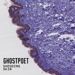 Image for 'Shedding Skin'