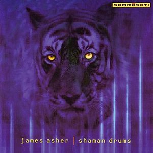 Image for 'Shaman Drums'