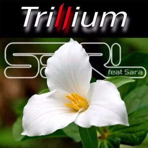 Image for 'Trillium'