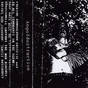 Image for 'Angeldestruction'