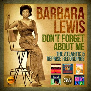 Immagine per 'Don't Forget About Me: The Atlantic & Reprise Recordings'
