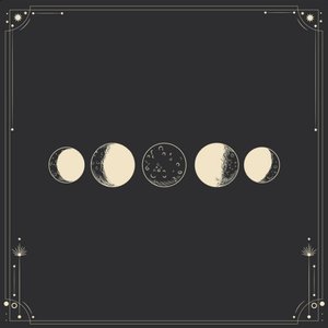 Image for 'Hiding Place for the Moon'