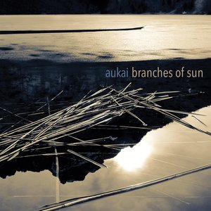 Image for 'Branches Of Sun'