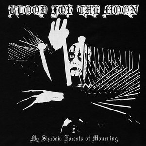 Image for 'My Shadow Forests of Mourning'
