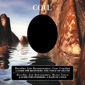Изображение для 'A Guide for Beginners: The Voice of Silver / A Guide for Finishers: A Hair of Gold'