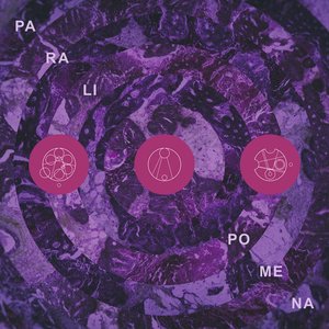 Image for 'Paralipomena'