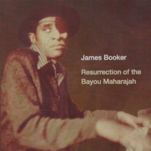 Immagine per 'Resurrection of the Bayou Maharajah'