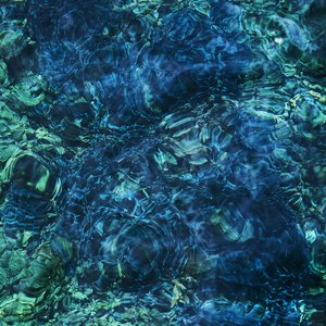 Immagine per 'Luminescent Creatures'