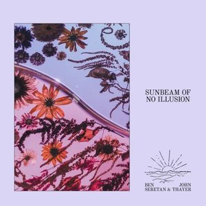 Image for 'Sunbeam of No Illusion'