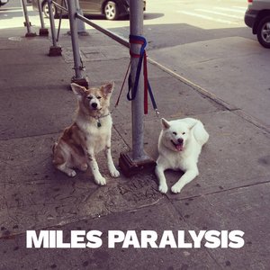 Image for 'Miles Paralysis'