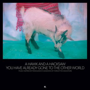 'You Have Already Gone To The Other World' için resim