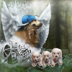 Image for 'iNUiNUiNU'