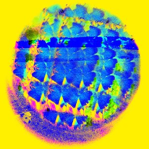 Image for 'Sandhills Music'