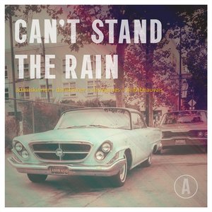 Immagine per 'Can't Stand The Rain'
