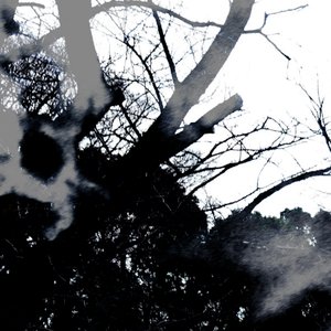 Image for 'ruminations on the nature of daylight'