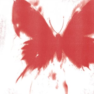 Image for 'WHERE DID ALL THE BUTTERFLIES GO?'