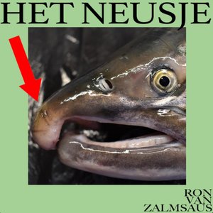 Bild für 'Het Neusje'