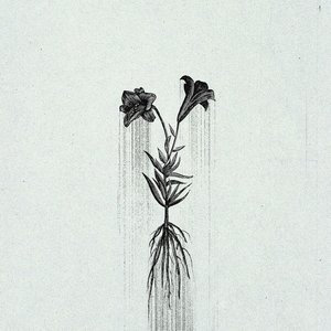 Image for 'A Requiem: Æternum'
