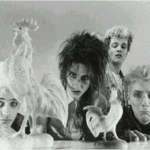 Image for 'LUCRATE MILK'