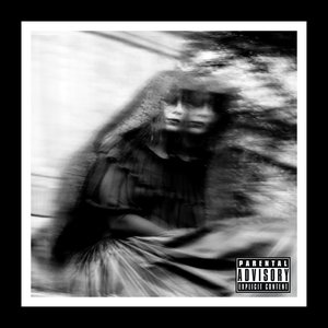 “Desolation Sounds”的封面