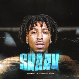Image for 'Shark'